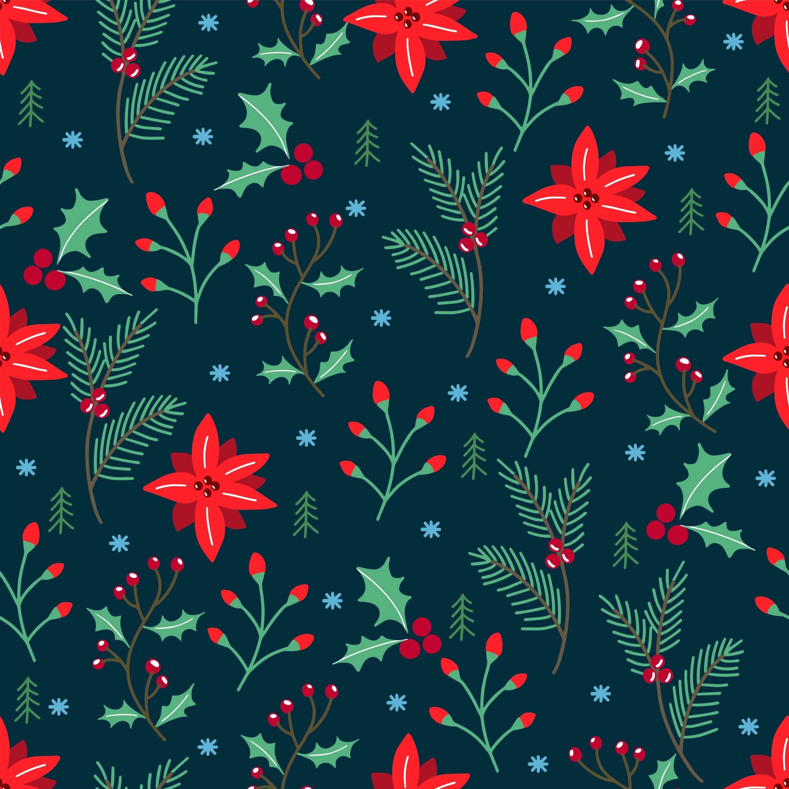 VACANCES DE NOËL 2025