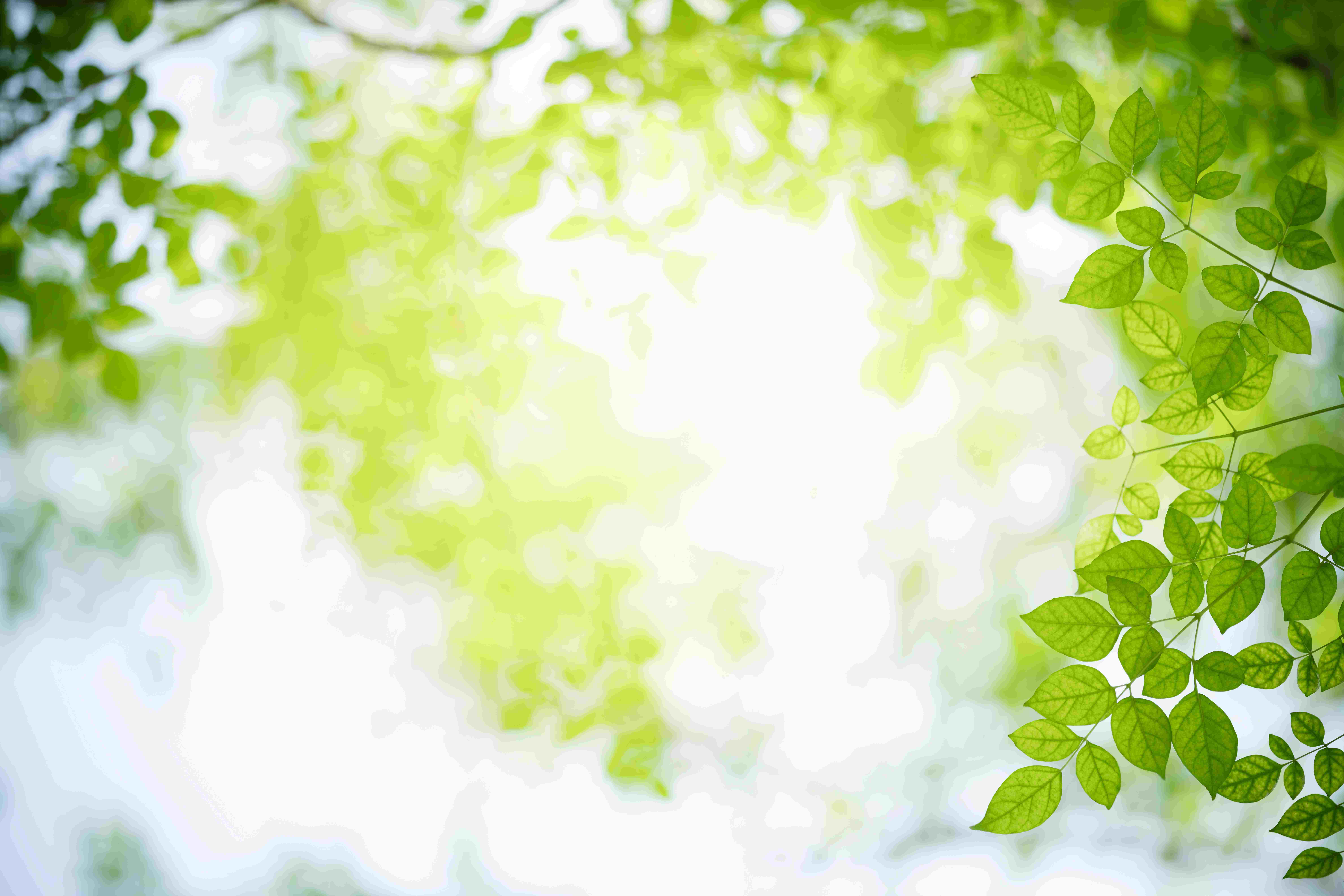 VACANCES DE PRINTEMPS 2026