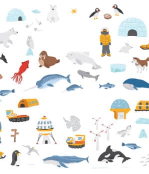 REFLET DU PÔLE NORD AU PÔLE SUD / FM ET CHOEURS 1C2